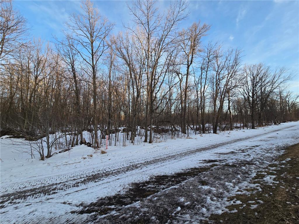 TBD Highway 47 Lakeside Twp MN 56342 7042403 image11