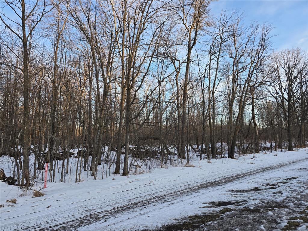 TBD Highway 47 Lakeside Twp MN 56342 7042403 image12