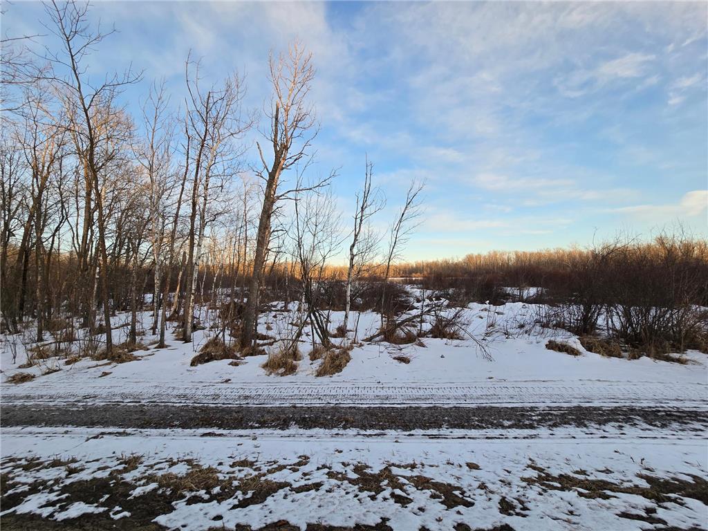 TBD Highway 47 Lakeside Twp MN 56342 7042403 image2