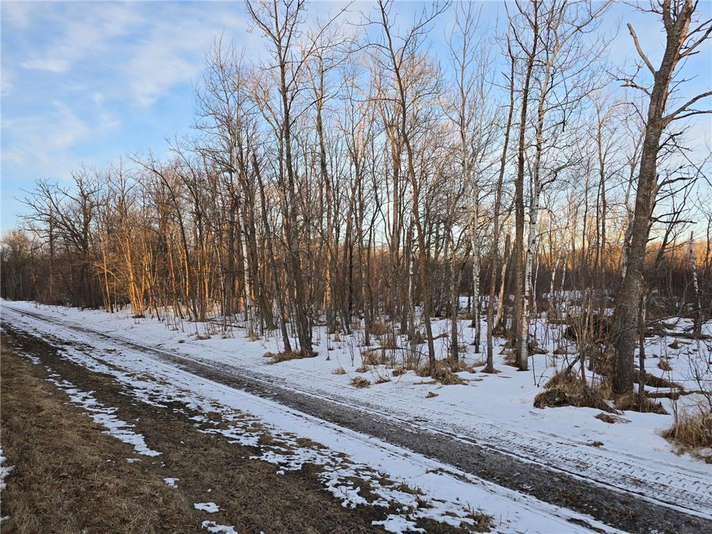 TBD Highway 47 Lakeside Twp MN 56342 7042403 image3