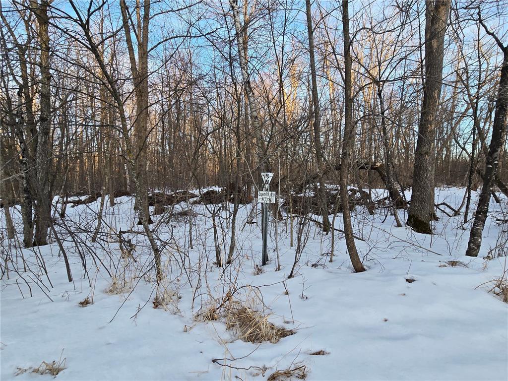 TBD Highway 47 Lakeside Twp MN 56342 7042403 image7