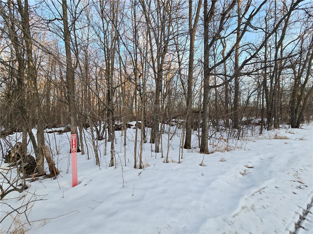 TBD Highway 47 Lakeside Twp MN 56342 7042403 image8