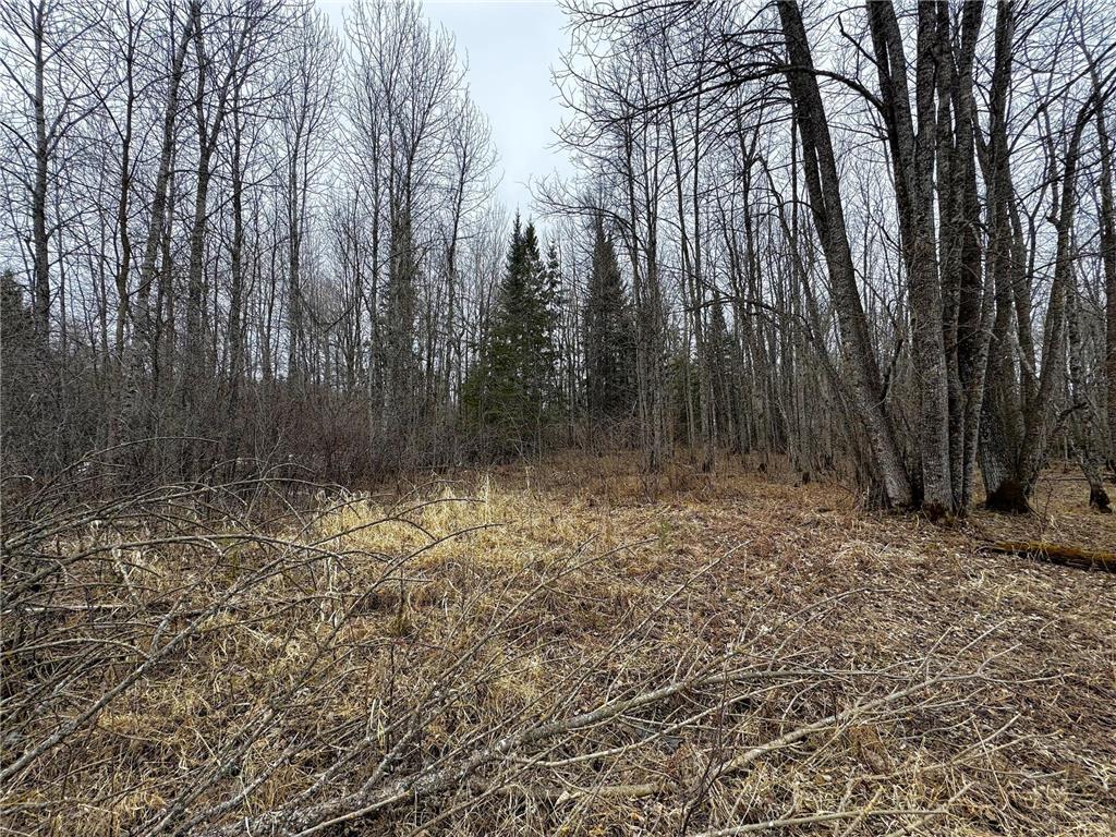 TBD Highway 5 South Koochiching Unorg. Terr. MN 56639 - Big Fork River 7047991 image7