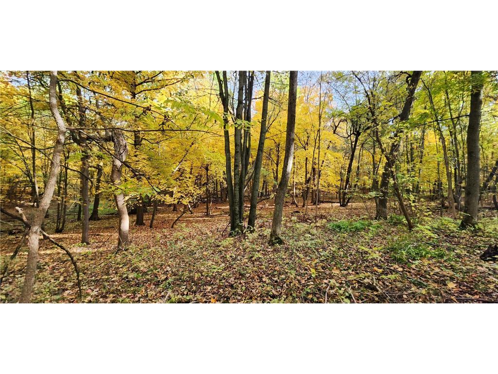 TBD Highway 52 Blvd Cannon Falls MN 55009 6413153 image1