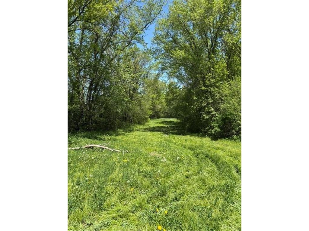 TBD Highway 55 Rockford Twp MN 55313 7073717 image3