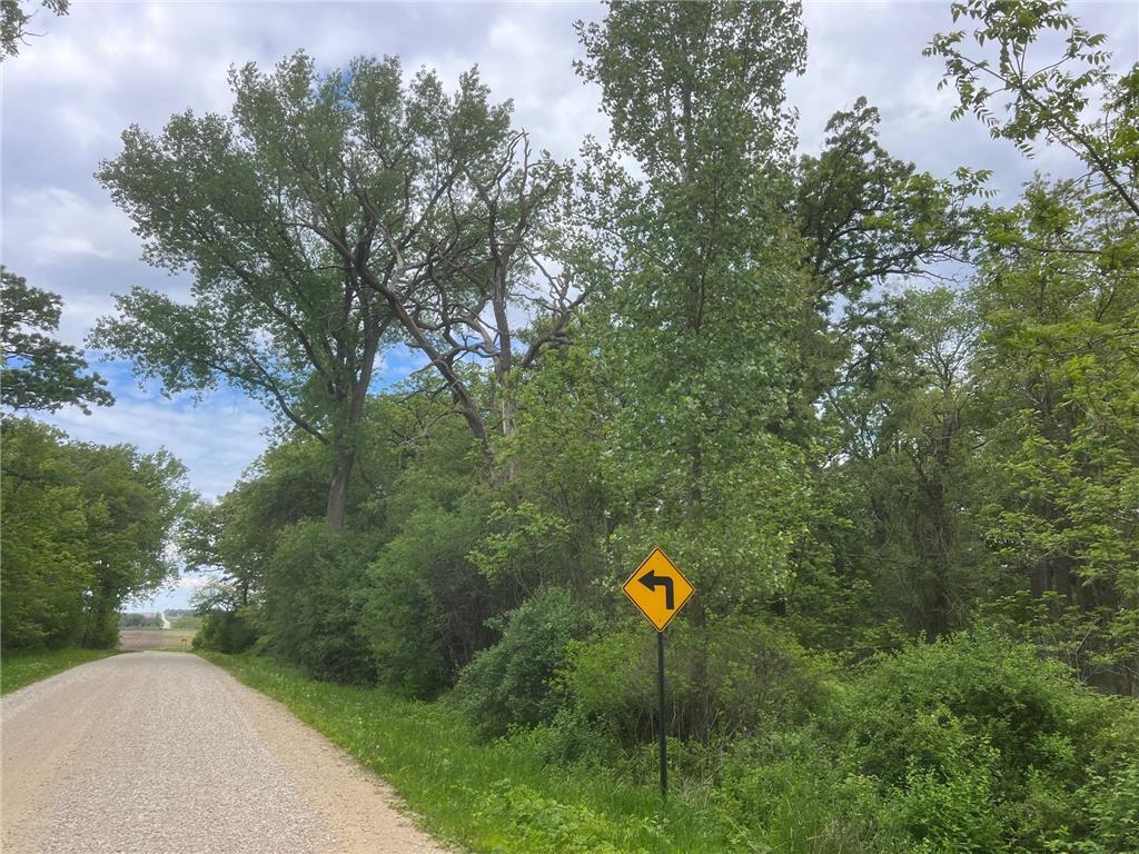 TBD Highway 56 Le Roy Twp MN 55951 6730936 image5