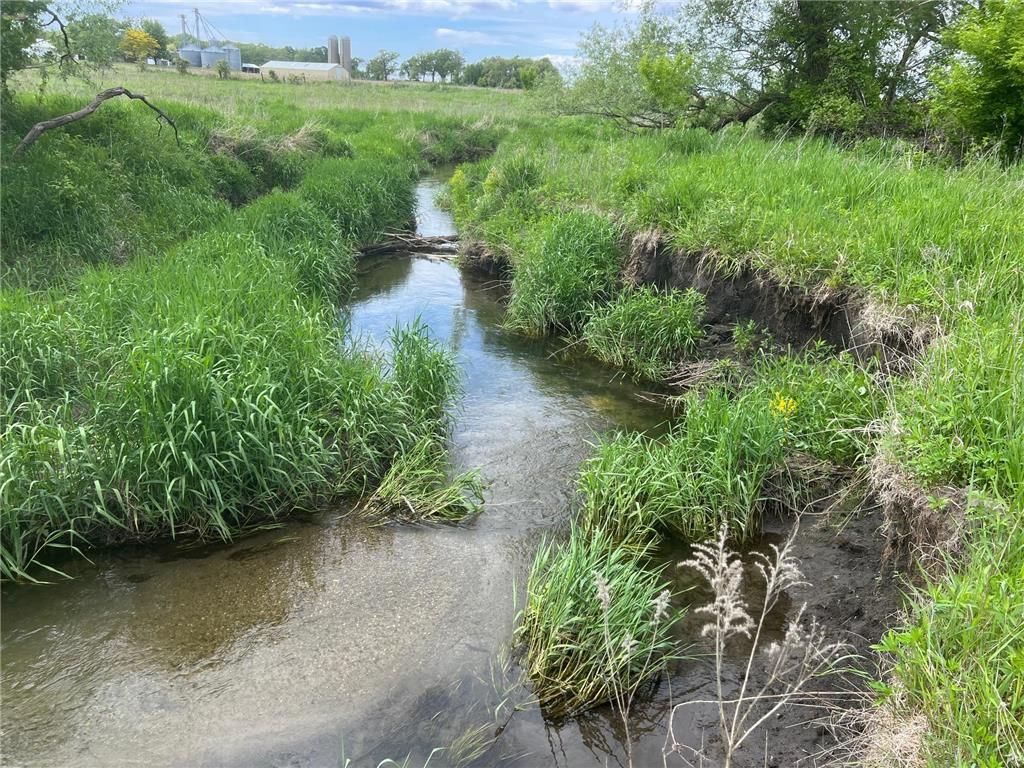 TBD Highway 56 Le Roy Twp MN 55951 6730936 image7