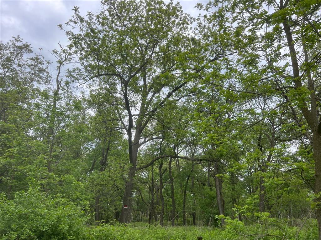 TBD Highway 56 Le Roy Twp MN 55951 6730936 image9