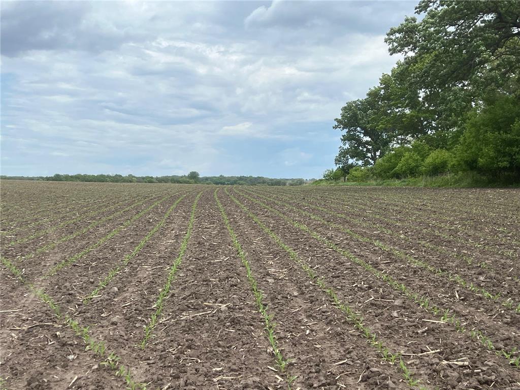 TBD Highway 56 Le Roy Twp MN 55951 7092026 image14