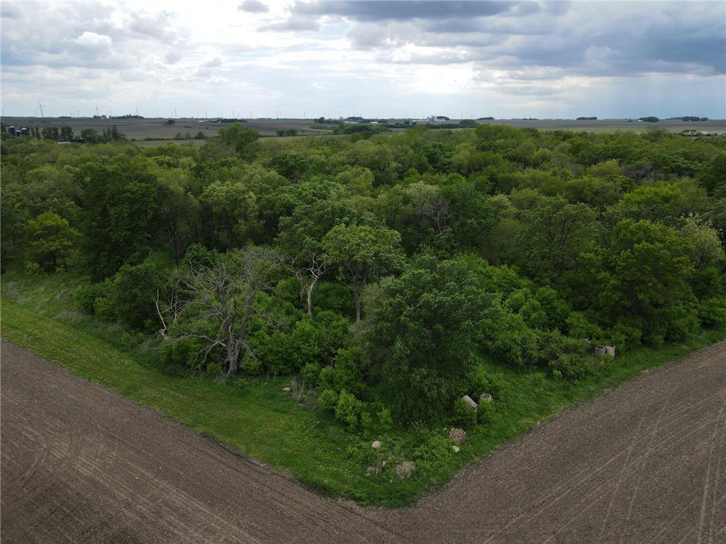 TBD Highway 56 Le Roy Twp MN 55951 7092026 image17
