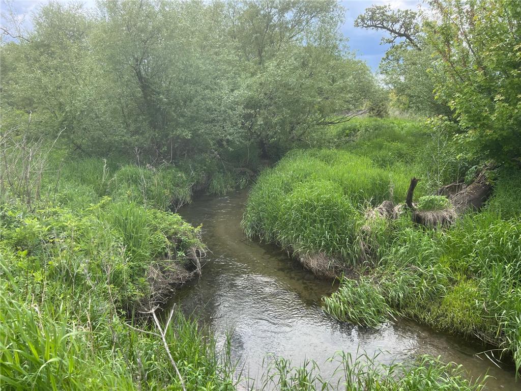 TBD Highway 56 Le Roy Twp MN 55951 7092026 image18