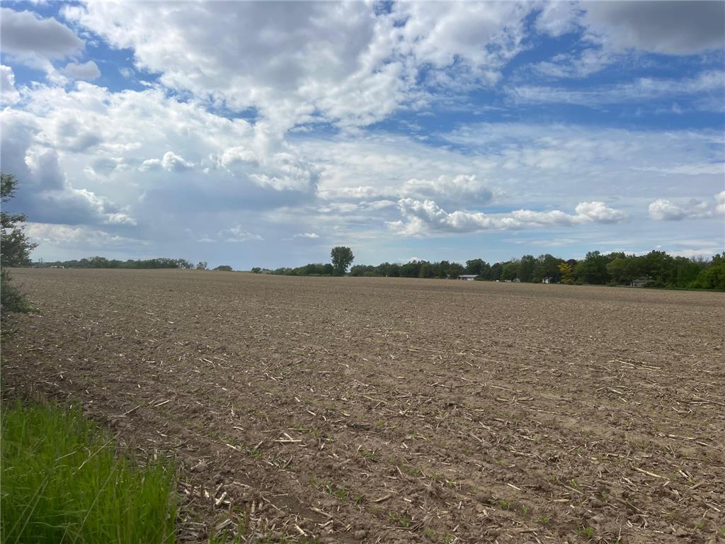 TBD Highway 56 Le Roy Twp MN 55951 7092026 image3