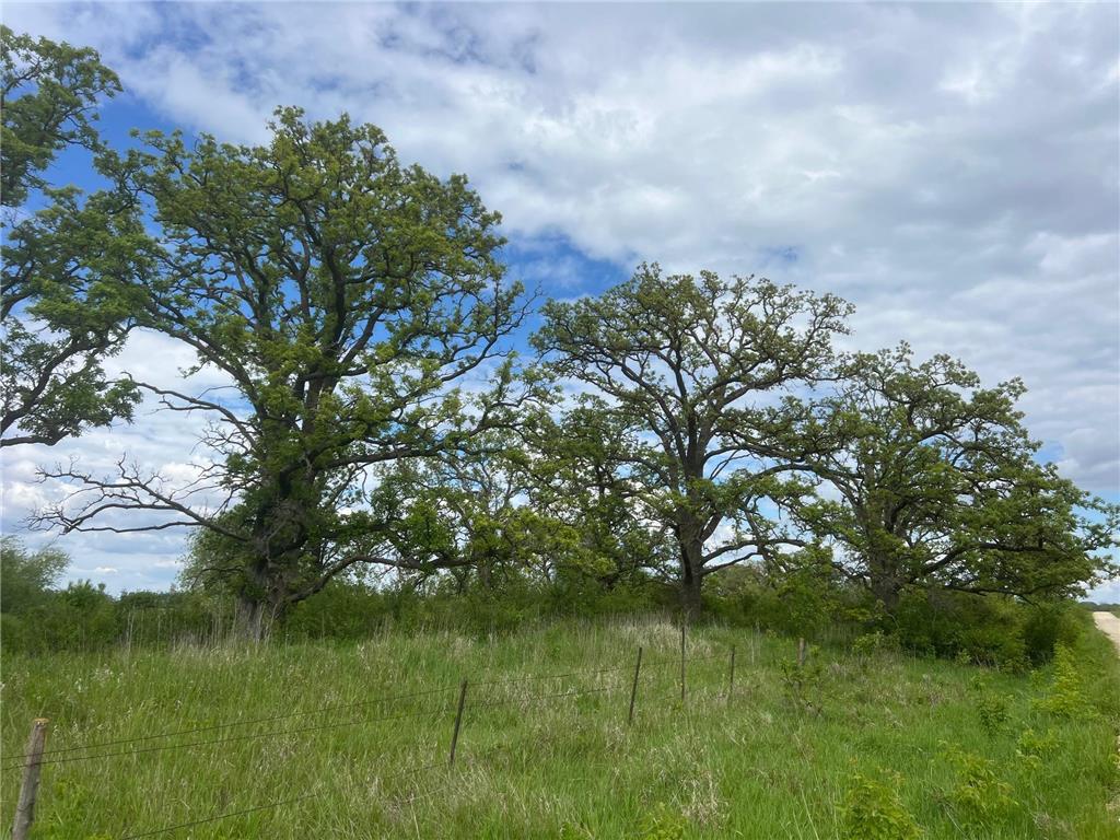 TBD Highway 56 Le Roy Twp MN 55951 7092026 image4