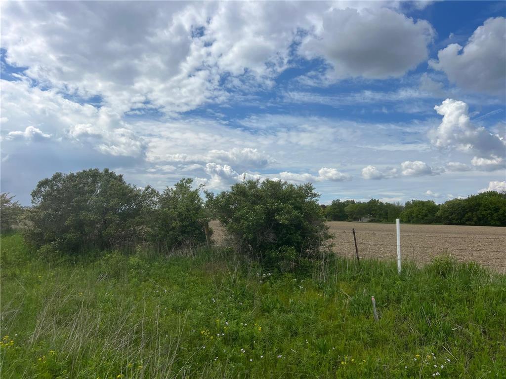 TBD Highway 56 Le Roy Twp MN 55951 7092026 image8