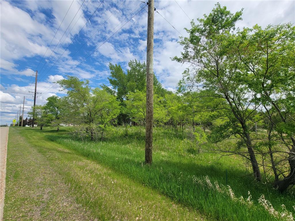 TBD Highway 59 Ogema MN 56569 6727629 image6