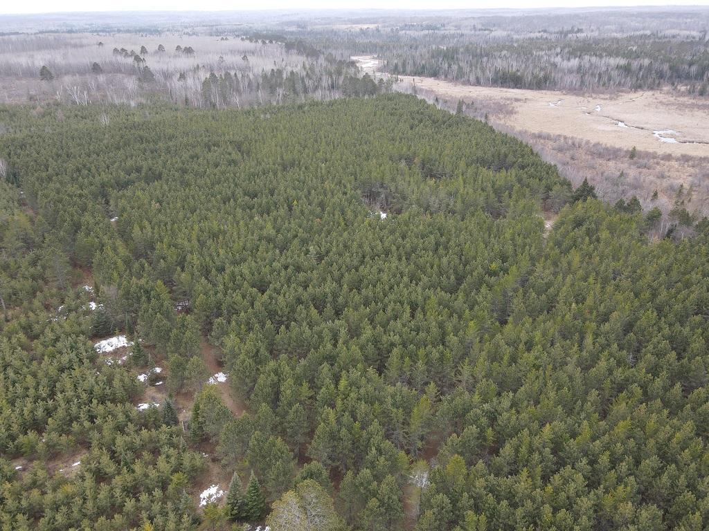 TBD Highway 64 Laporte MN 56461 7049851 image10