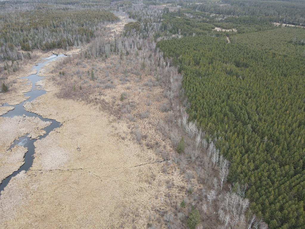 TBD Highway 64 Laporte MN 56461 7049851 image13