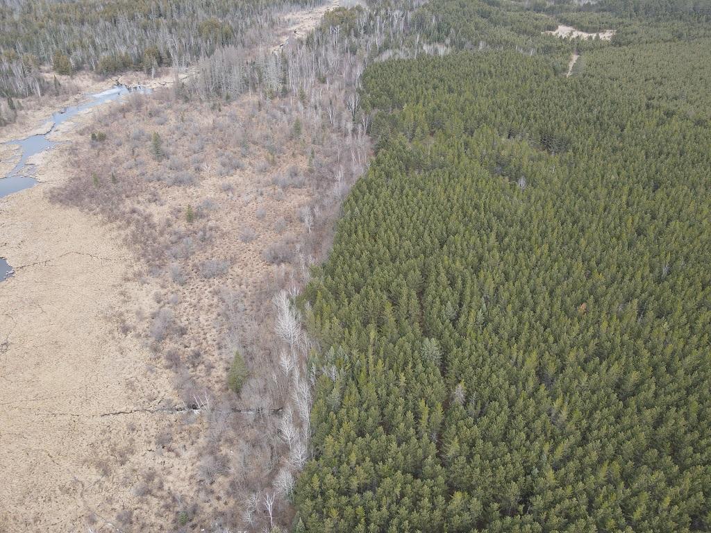 TBD Highway 64 Laporte MN 56461 7049851 image14