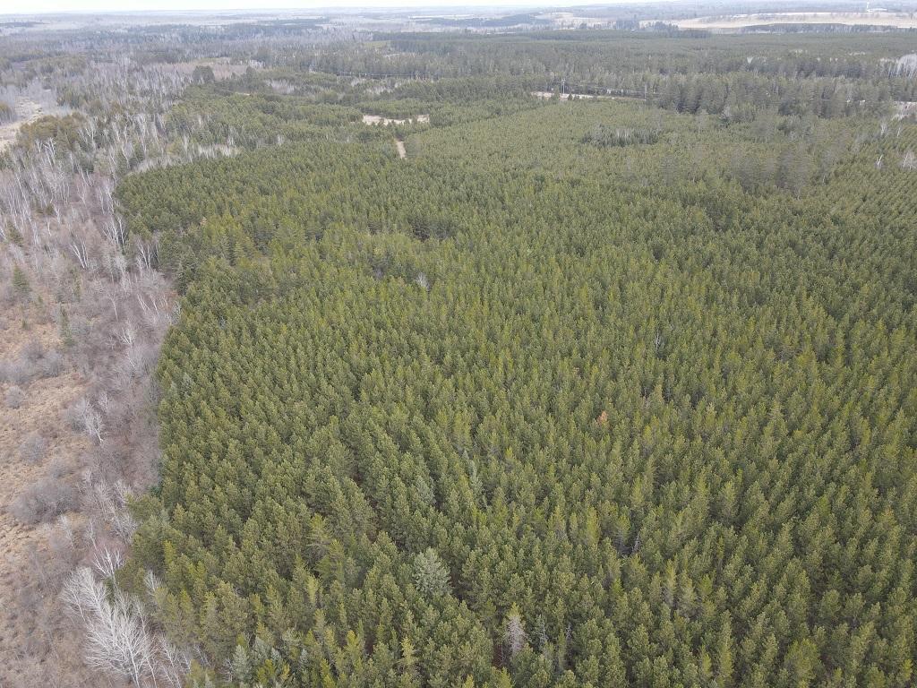 TBD Highway 64 Laporte MN 56461 7049851 image15