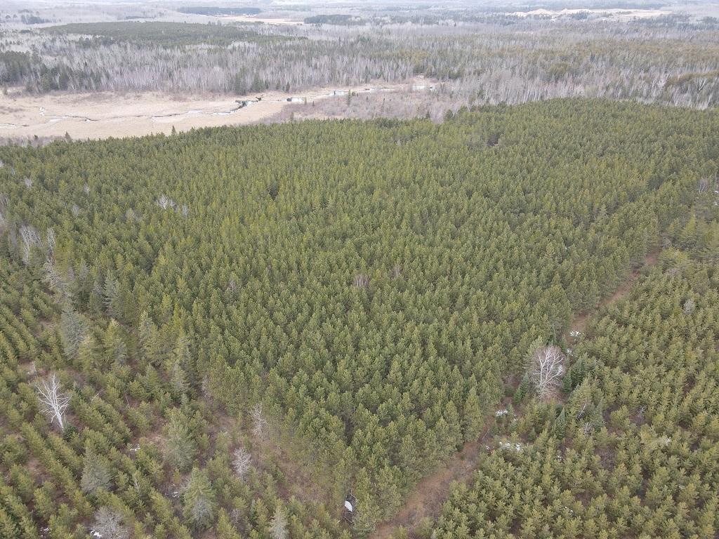 TBD Highway 64 Laporte MN 56461 7049851 image16