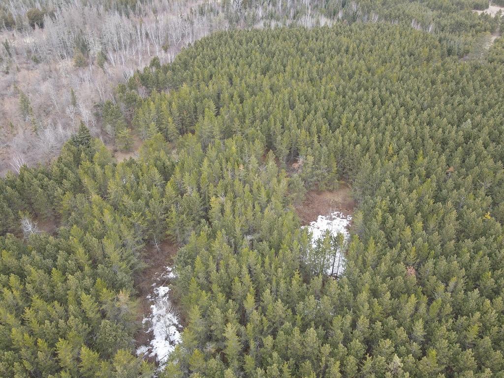 TBD Highway 64 Laporte MN 56461 7049851 image17
