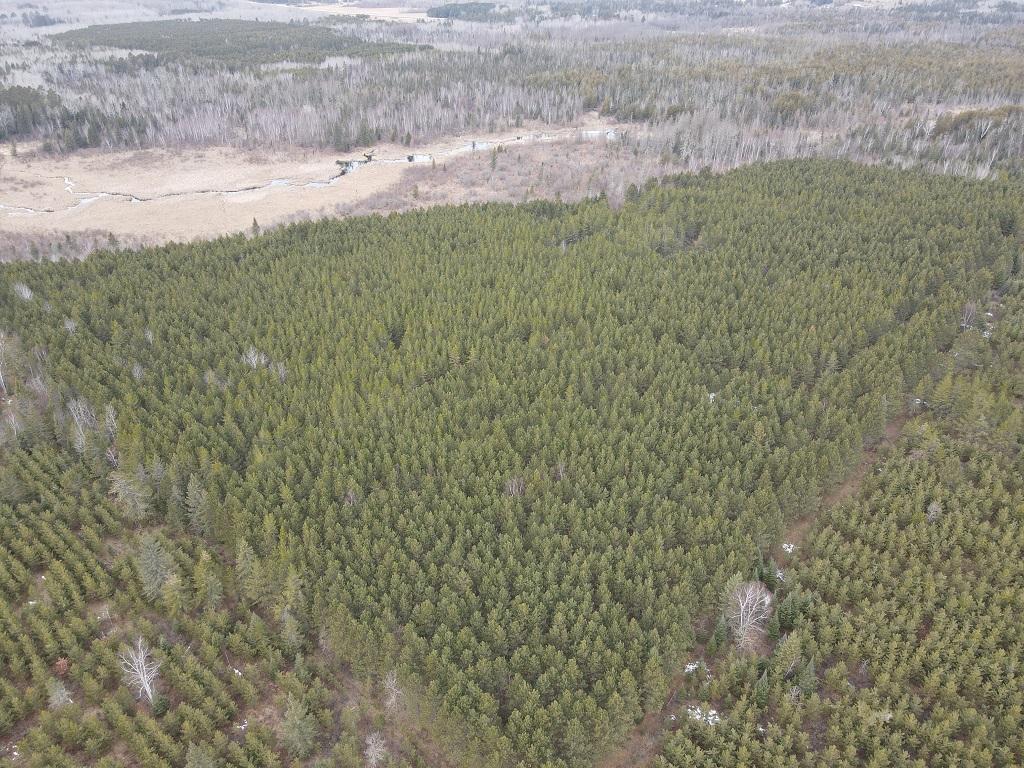 TBD Highway 64 Laporte MN 56461 7049851 image18