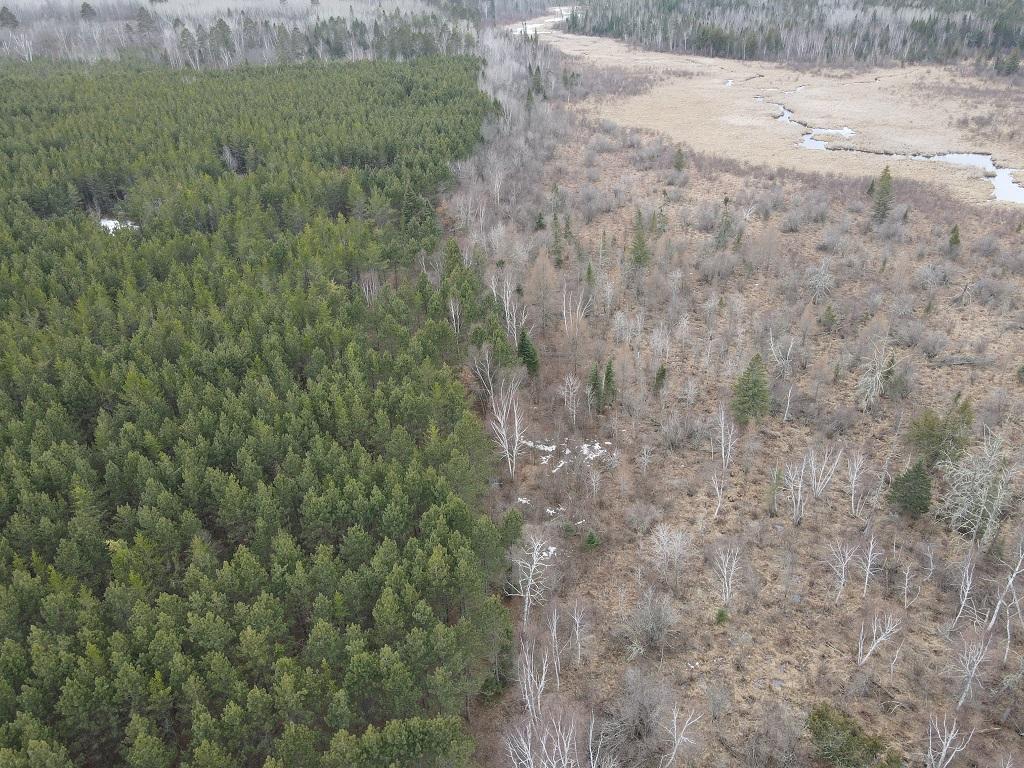 TBD Highway 64 Laporte MN 56461 7049851 image19