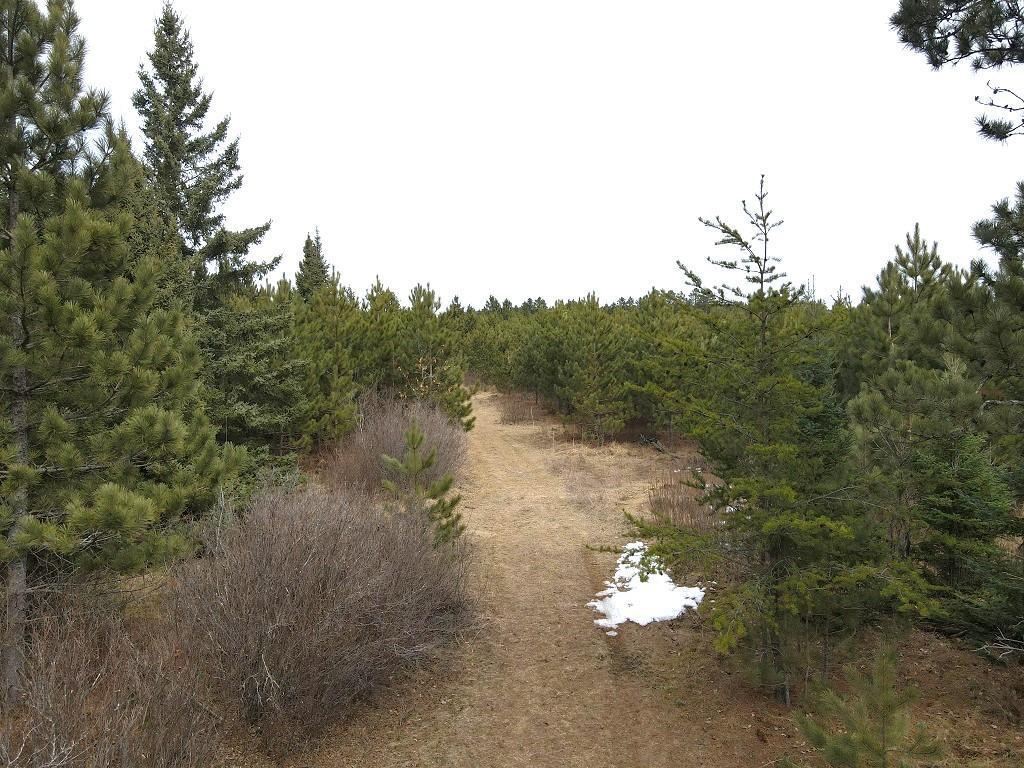 TBD Highway 64 Laporte MN 56461 7049851 image2