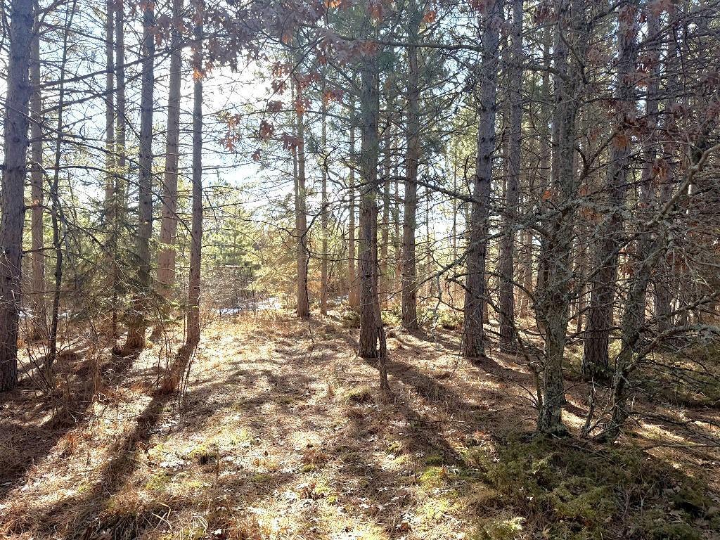 TBD Highway 64 Laporte MN 56461 7049851 image3