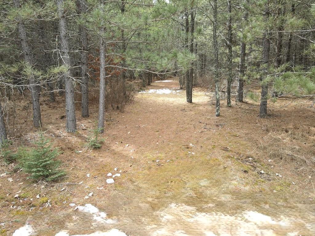 TBD Highway 64 Laporte MN 56461 7049851 image4
