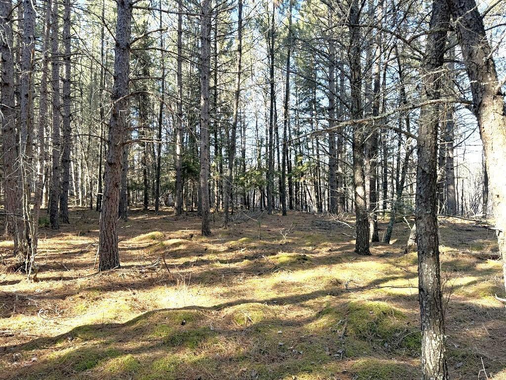 TBD Highway 64 Laporte MN 56461 7049851 image5