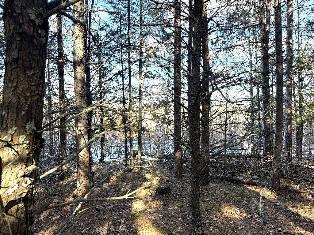 TBD Highway 64 Laporte MN 56461 7049851 image6