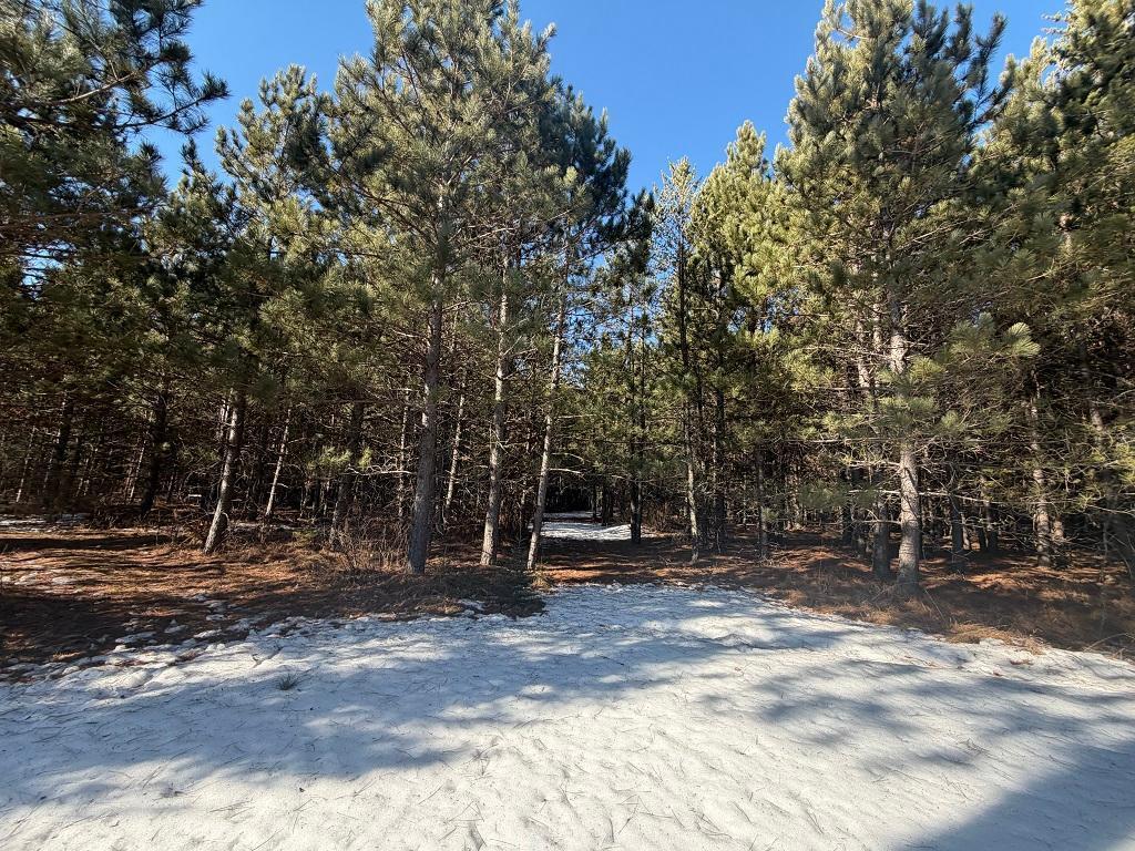 TBD Highway 64 Laporte MN 56461 7049851 image7