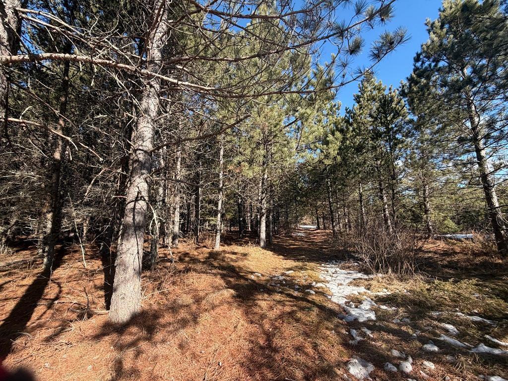 TBD Highway 64 Laporte MN 56461 7049851 image8