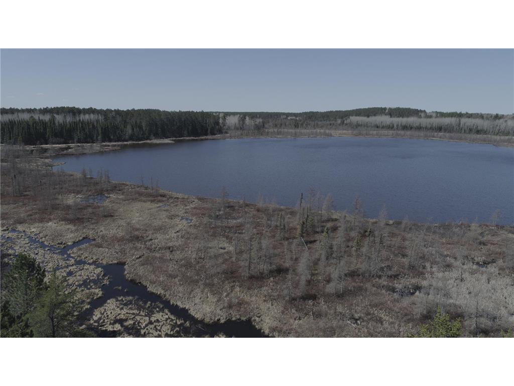 TBD Highway 65, Britt, MN, 55710 MLS 6506664 Edina Realty