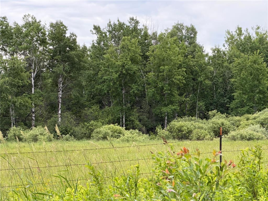 TBD Highway 65 Nashwauk MN 55769 7102731 image1