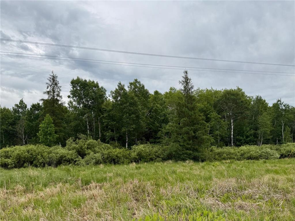 TBD Highway 65 Nashwauk MN 55769 7102731 image2