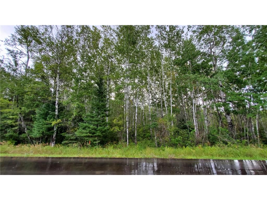 TBD Highway 65 Orr MN 55771 6259749 image1