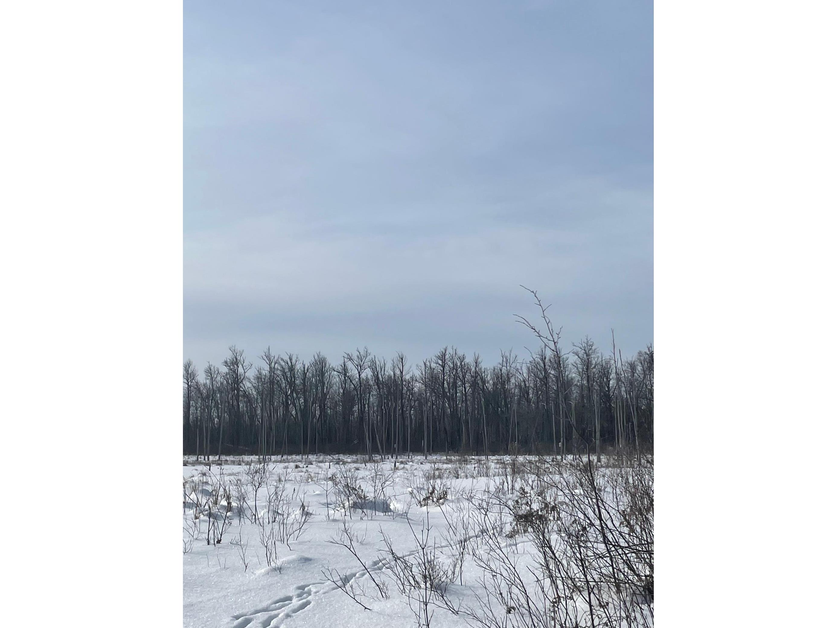 TBD Highway 73 Fine Lakes Twp MN 55736 6148101 image1