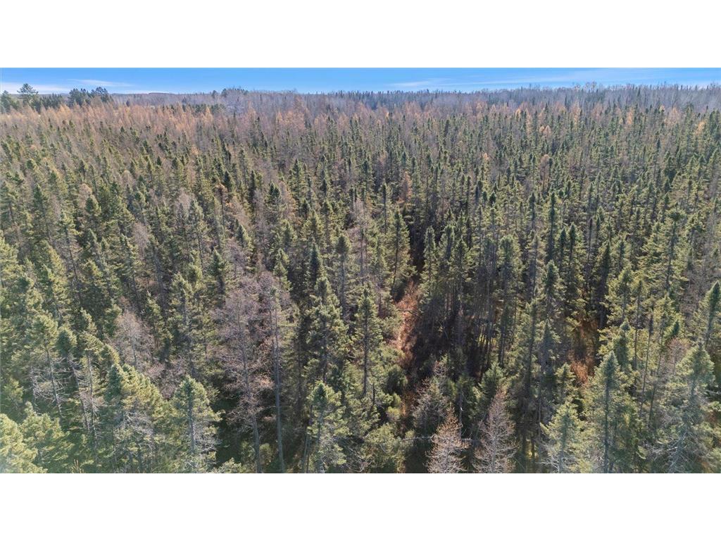 TBD Hill Rd Eagle Twp MN 55726 7053740 image11