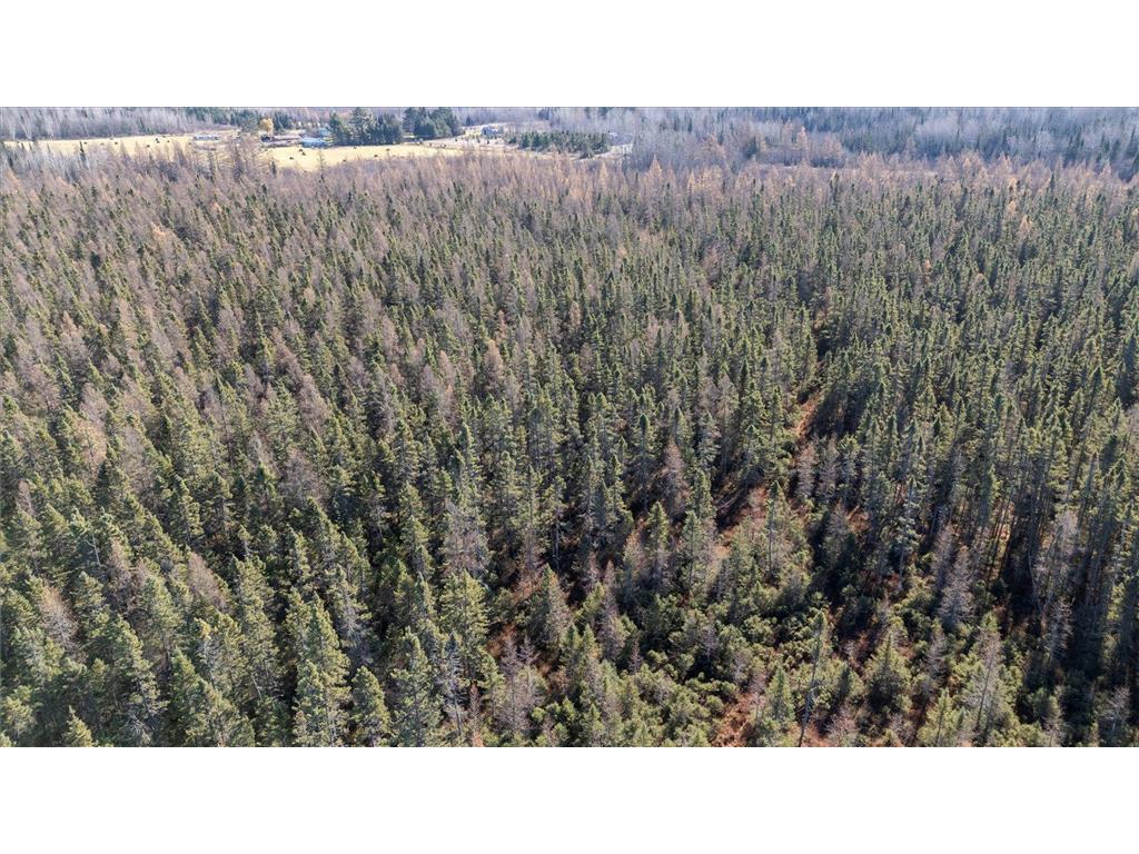 TBD Hill Rd Eagle Twp MN 55726 7053740 image12
