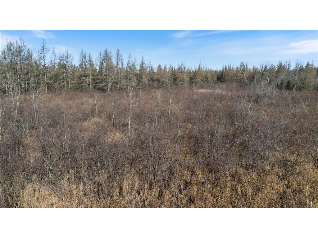 TBD Hill Rd Eagle Twp MN 55726 7053740 image5