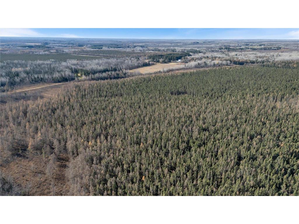 TBD Hill Rd Eagle Twp MN 55726 7053740 image9