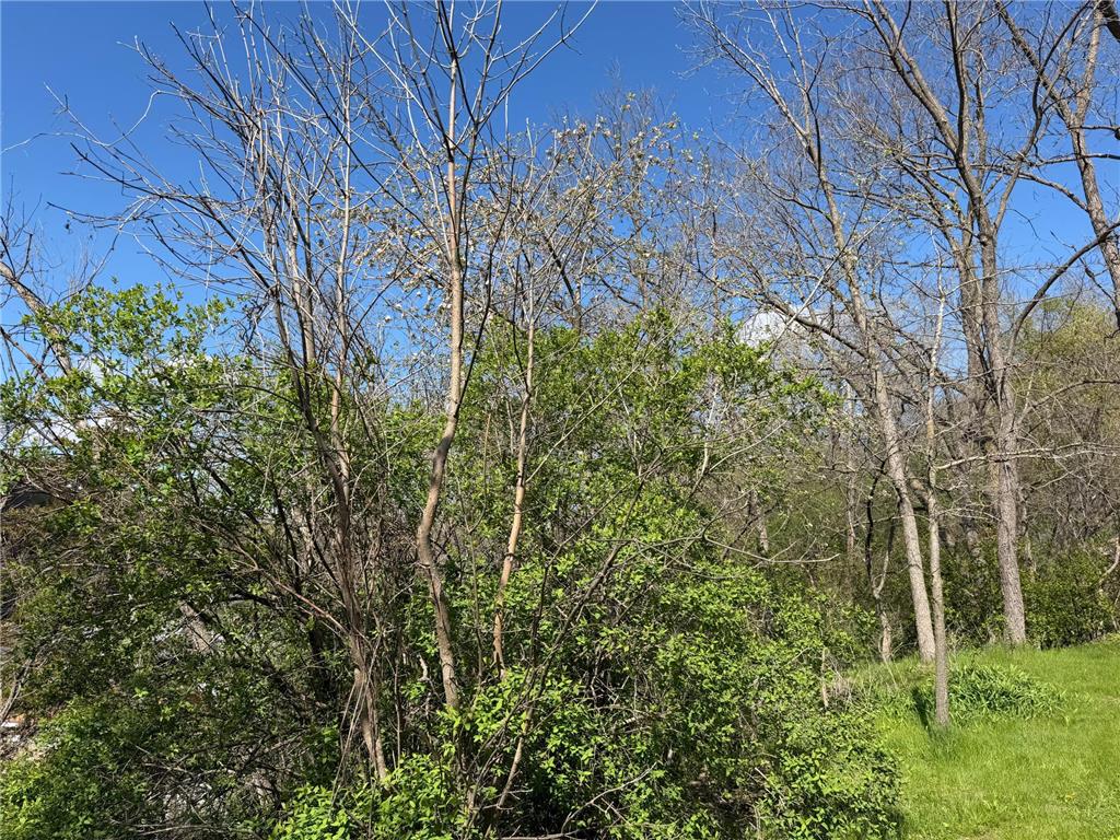 TBD Hill Street E Hammond MN 55991 7068531 image10
