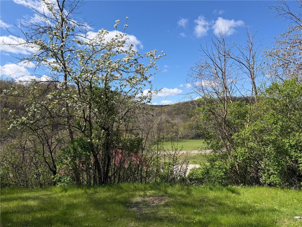 TBD Hill Street E Hammond MN 55991 7068531 image11