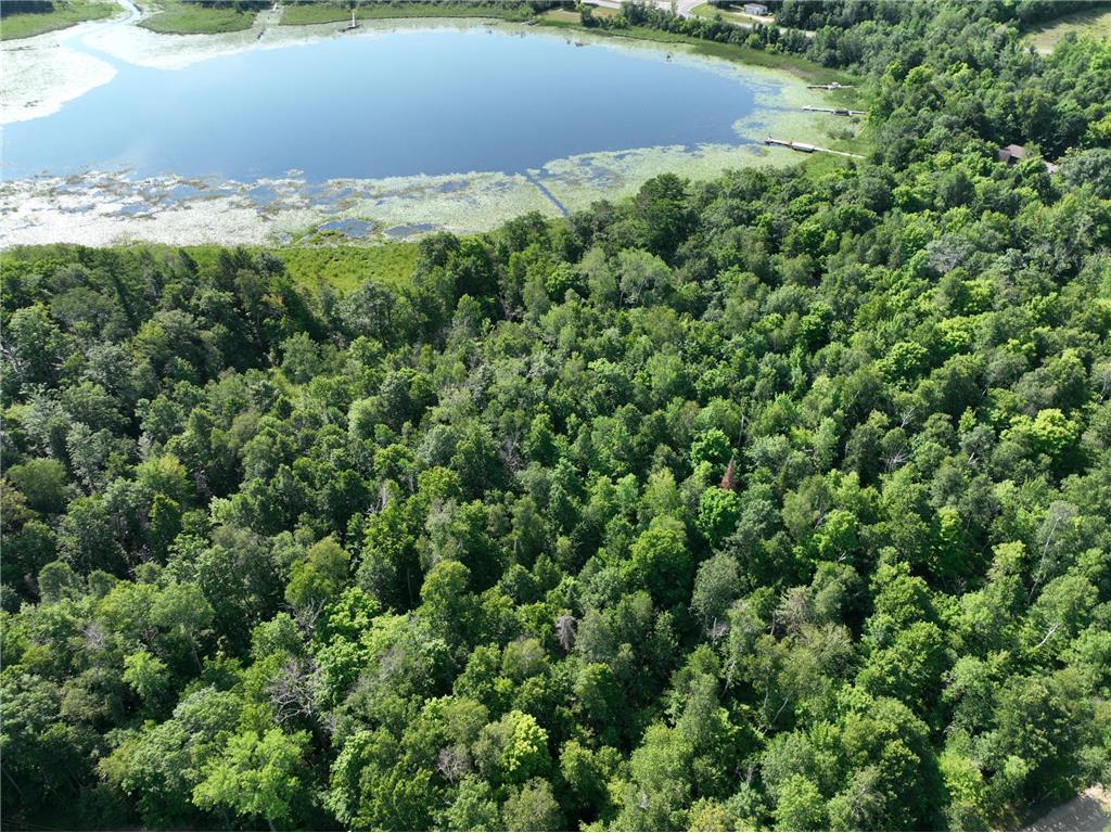 TBD Hillerman Road NW Hackensack MN 56452 - Little Woman 6756440 image1