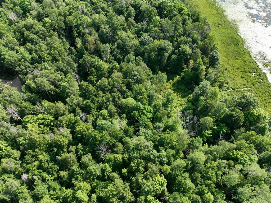 TBD Hillerman Road NW Hackensack MN 56452 - Little Woman 6756440 image10