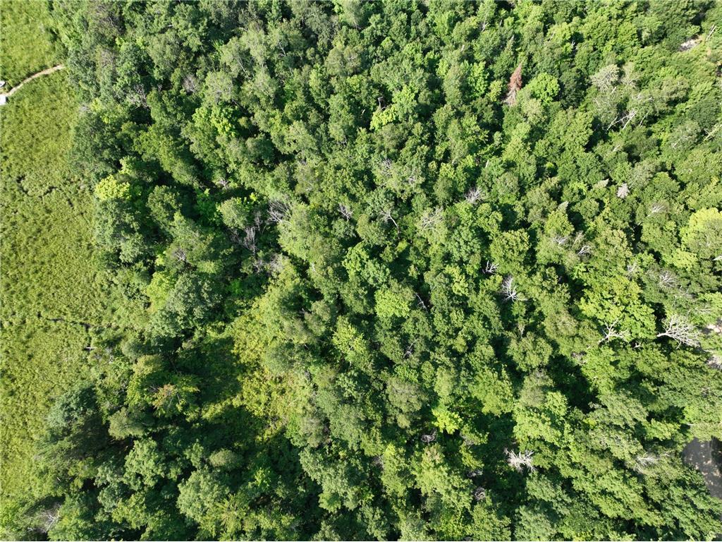 TBD Hillerman Road NW Hackensack MN 56452 - Little Woman 6756440 image11