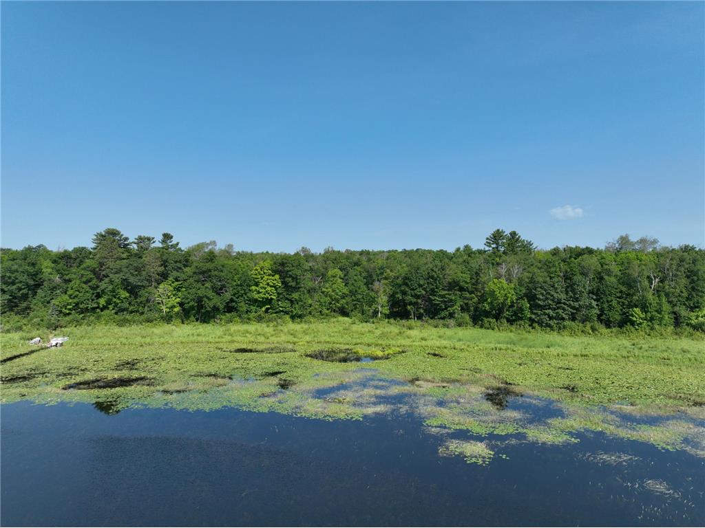 TBD Hillerman Road NW Hackensack MN 56452 - Little Woman 6756440 image8