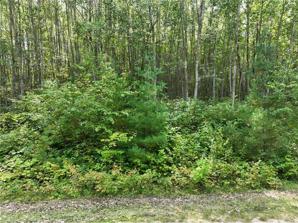 TBD Hillsdale Way NW Walker MN 56484 6431577 image1